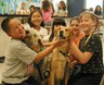 Petcare140 rev iii